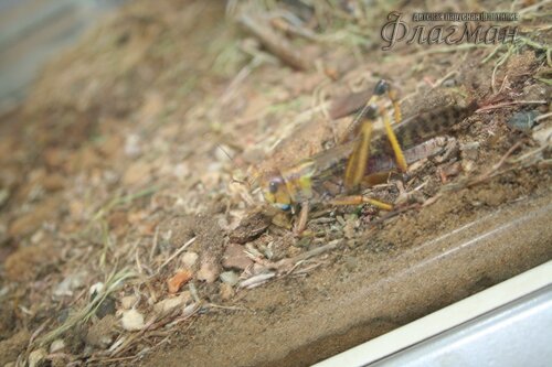 IMG_0670_r